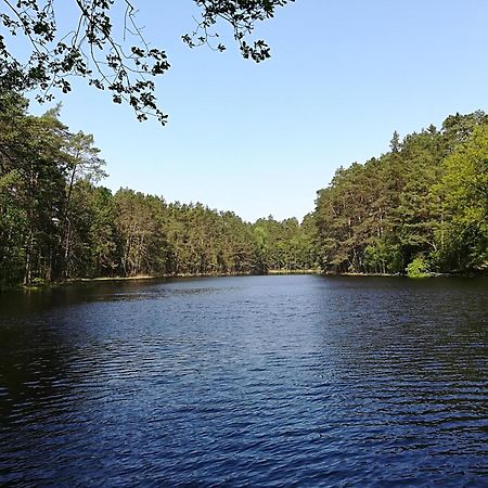 L'Ours Vert Baerenthal ภายนอก รูปภาพ