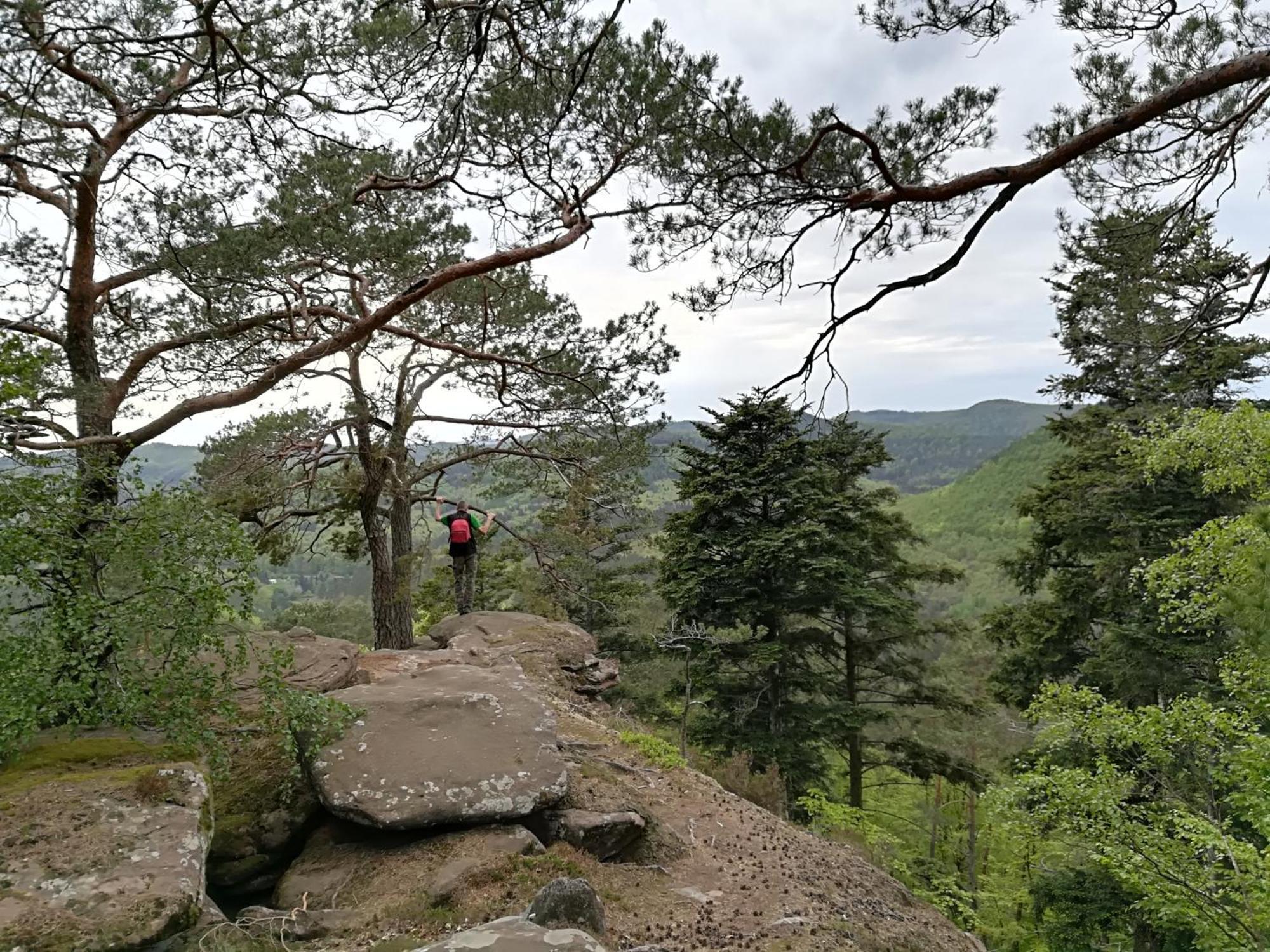 L'Ours Vert Baerenthal ภายนอก รูปภาพ